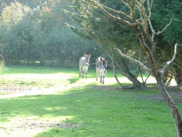 Balthazar et leonard Arrivee (2).jpg